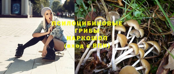 скорость Волоколамск