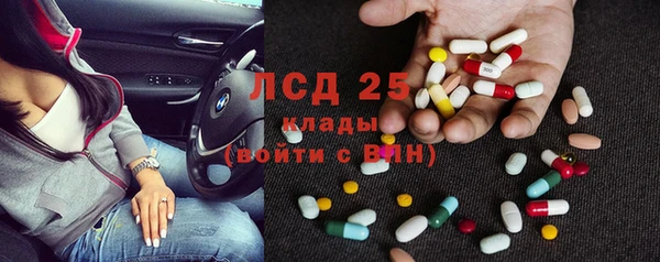 PSILOCYBIN Волосово
