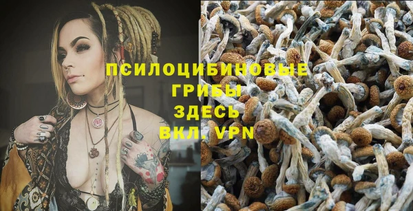 герыч Володарск