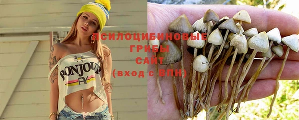 PSILOCYBIN Волосово