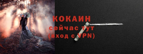 PSILOCYBIN Волосово