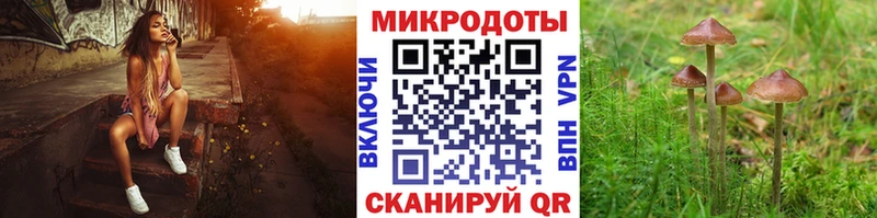 Купить закладки  Бирск  Галлюциногенные грибы MAGIC MUSHROOMS 
